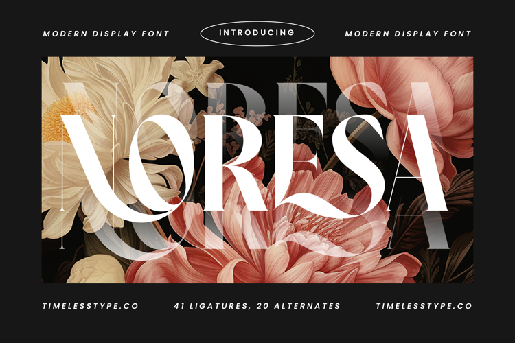 Branding Font Image 22