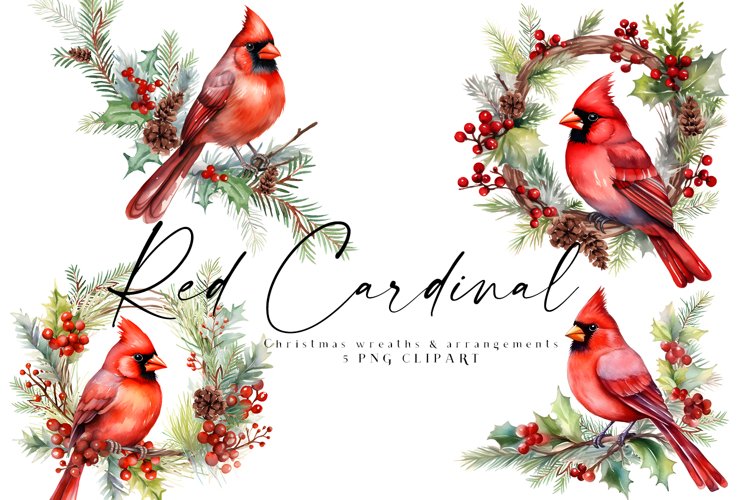 Red Cardinal Christmas Clipart Wreaths Bouquets 9 PNG