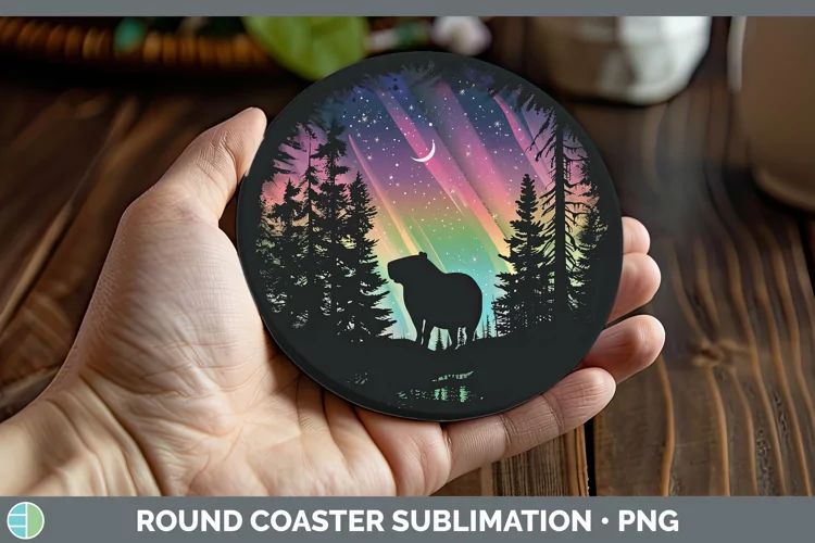 Northern Lights Capybara Round Coaster Sublimation Coaster D