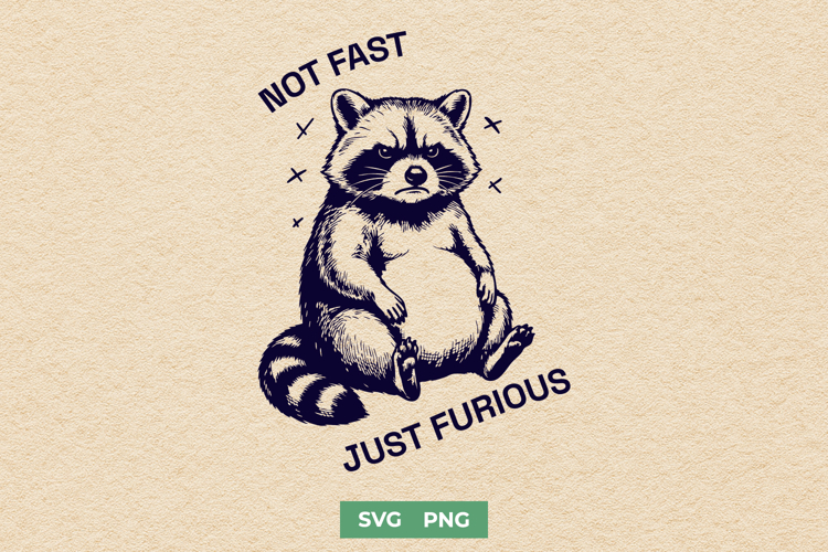 Funny Raccoon SVG for Sarcastic Shirts, Trash Panda PNG