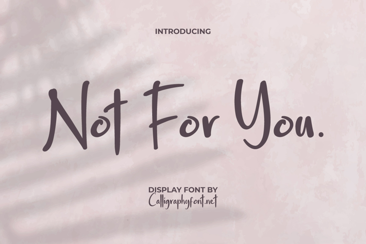 Beautiful Fonts Image 14