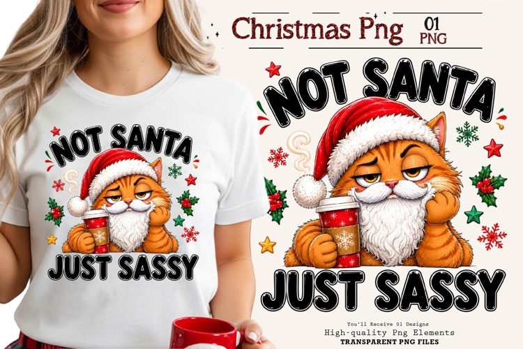 Not Santa Just Sassy Cat Funny Christmas PNG Sublimation Art