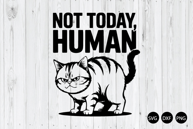 Not Today Human SVG, Cat Not Today SVG, Funny Cat SVG