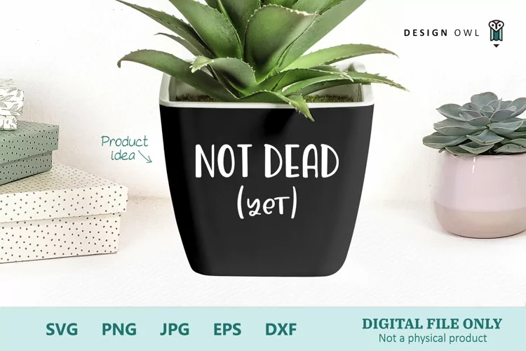 Not Dead Yet - Funny Plant Pot Quote SVG