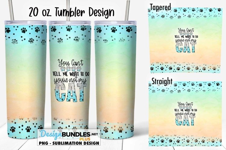 Cute Cat Png Image 18