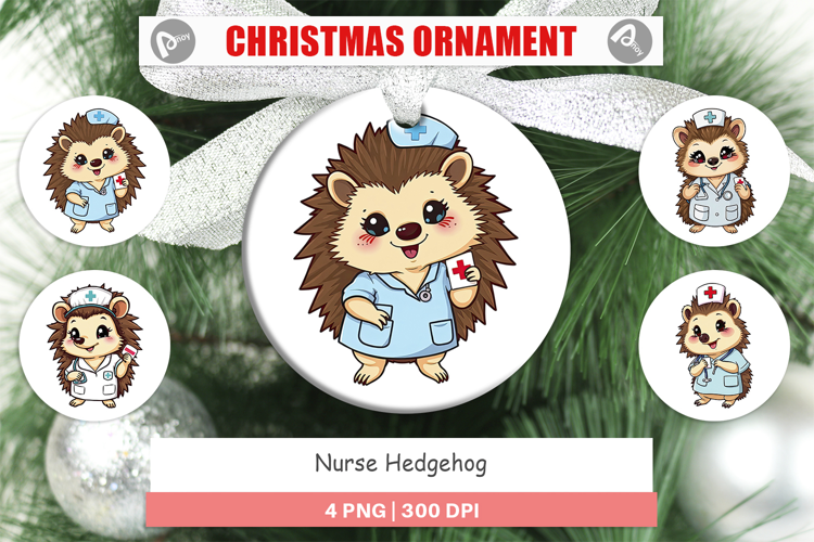 Ornament Nurse Hedgehog