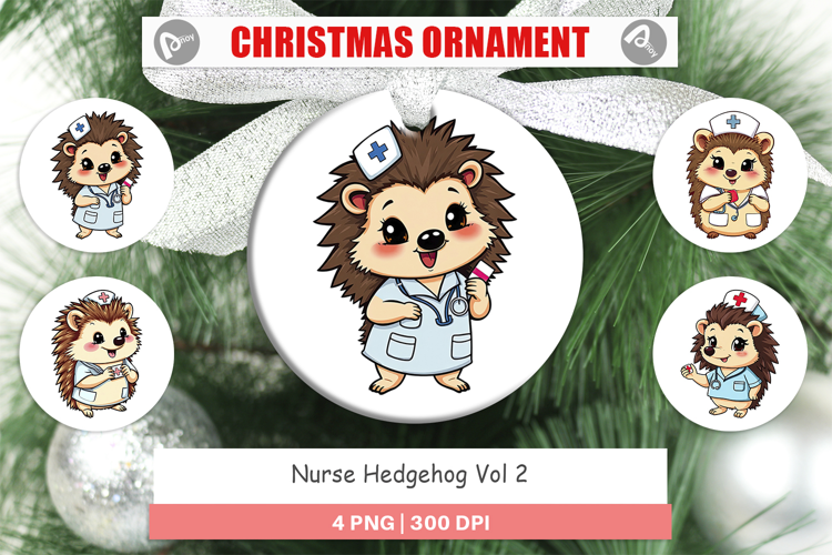 Ornament Nurse Hedgehog
