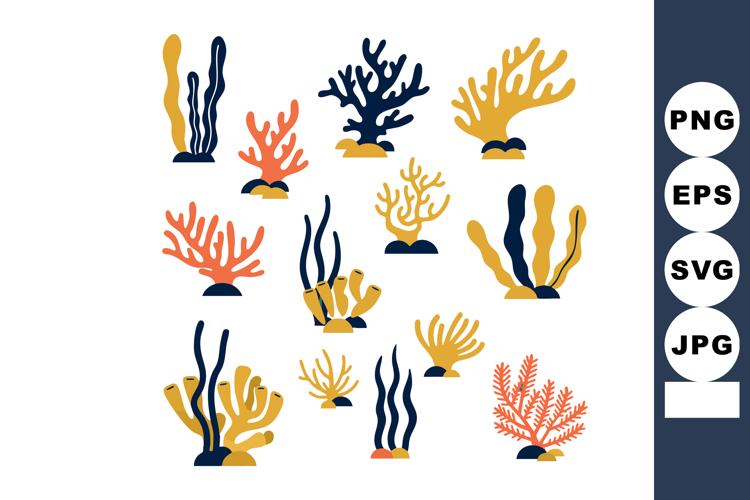 Coral Reef Illustration Image 24