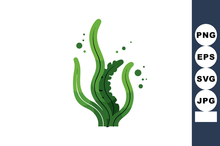 Seaweed Illustration Image 23