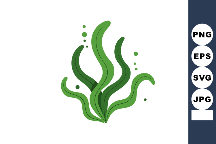 Seaweed Clipart Image 13