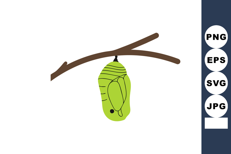 Butterfly Clipart Image 4