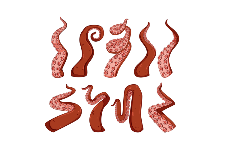 Octopus tentacles set illustrating undersea creature fantasy