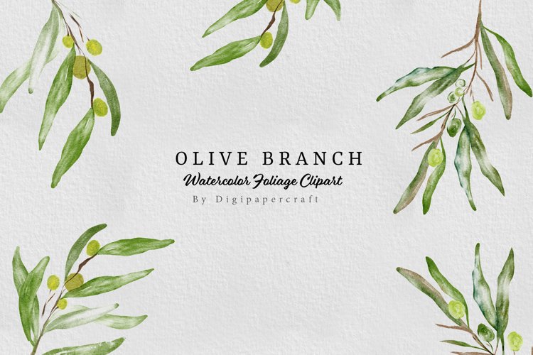 Olive Branch Watercolor Clipart, olive wreath, foliage leaf