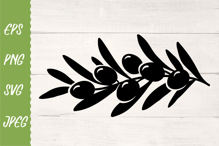 Olive branch Svg. Olive twig, sprig. Svg, Vector decor. Png.