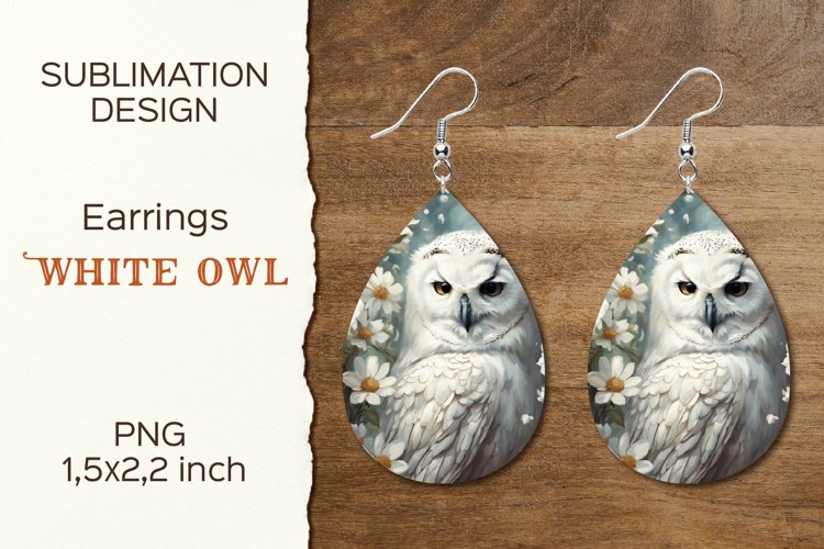 Owl Clipart Image 16