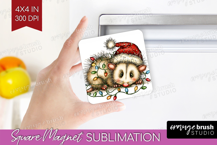 Opossum Png Image 21