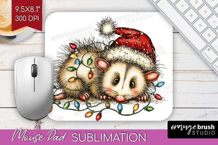 Opossum Png Image 22