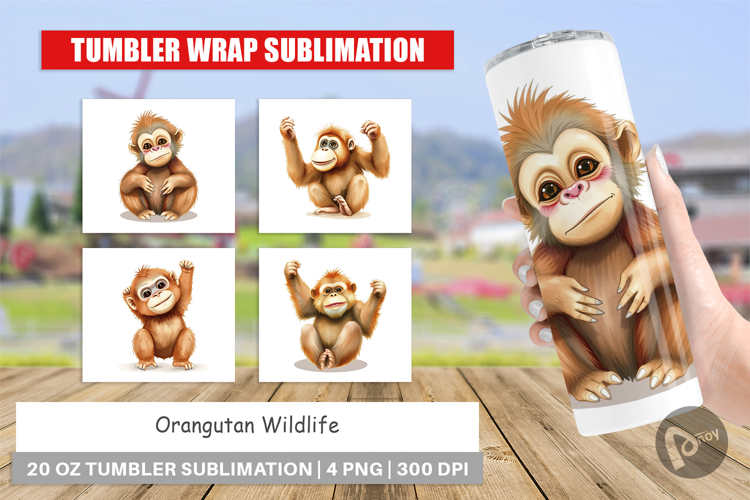 Tumbler Orangutan Wildlife