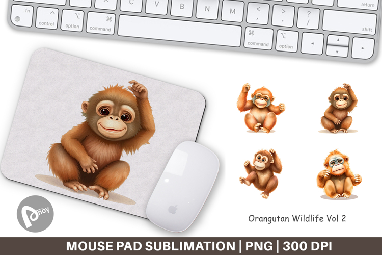 Orangutan Clipart Image 11