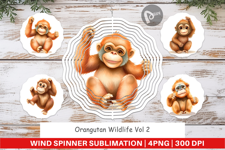 Orangutan Clipart Image 21