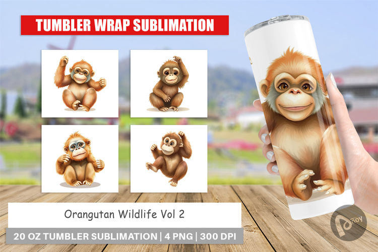Orangutan Clipart Image 8