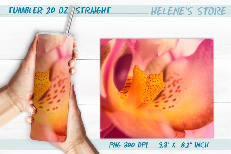 Orchid Clipart Image 21