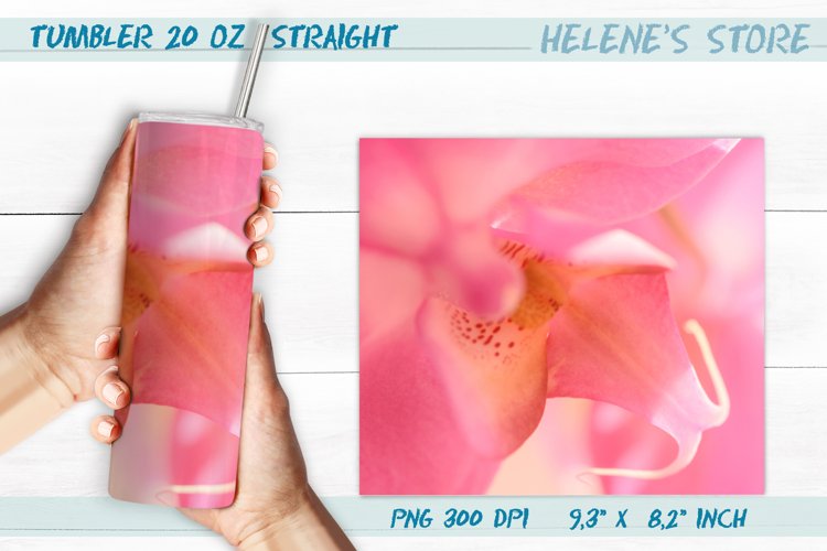 Orchid Clipart Image 20