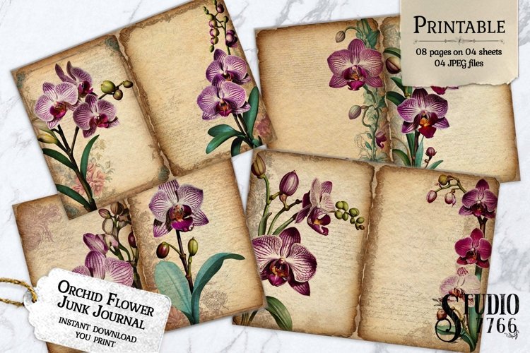 Orchid Clipart Image 12