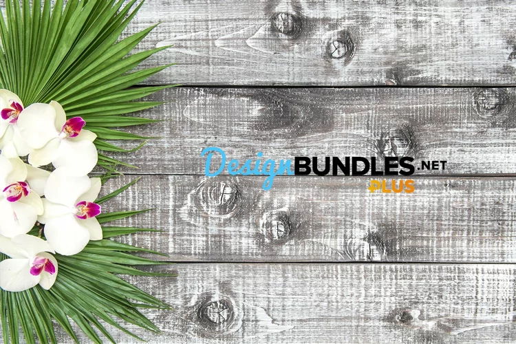 Orchid flowers palm leaves floral decoration stock photo