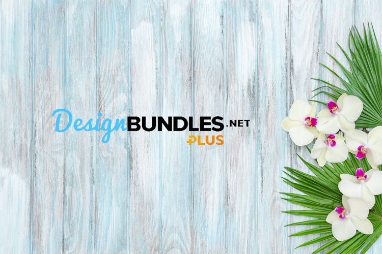 Orchid flowers floral deco wooden background stock photo