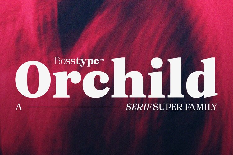 Orchild Serif | 91 Style Font example image 1