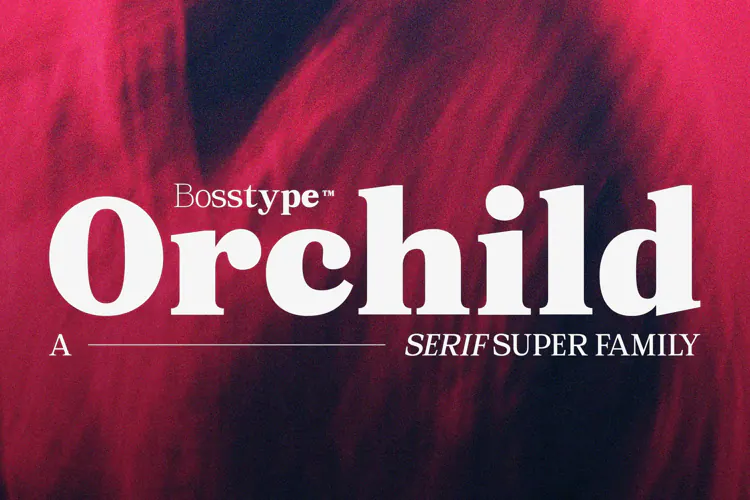 Orchild Serif | 91 Style Font