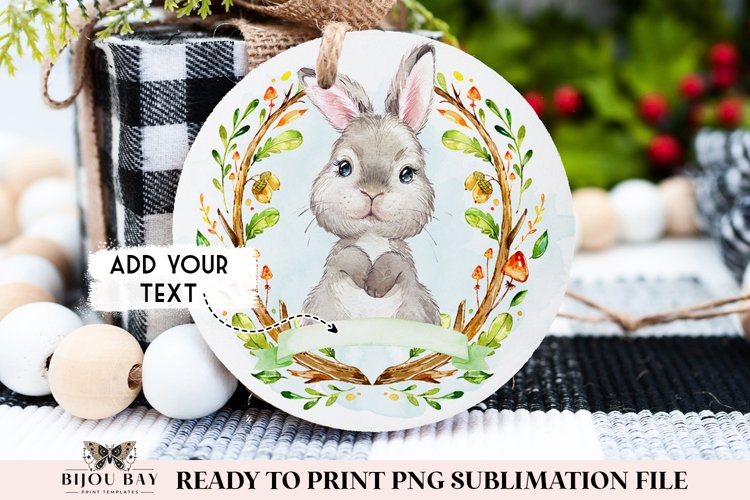 Rabbit Png Image 24