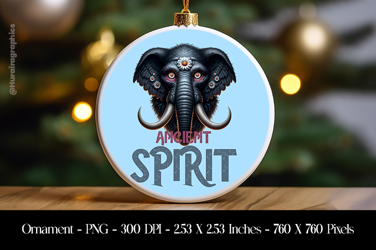 Ornament Png Image 23