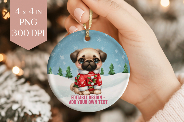 Pug Png Image 12