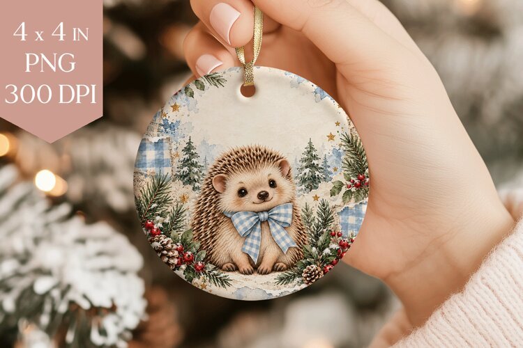Blue Hedgehog Christmas Ornament PNG example image 1
