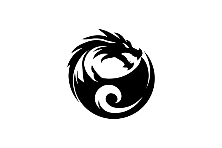 Dragon Logo Design Image 20