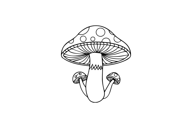Mushroom Outline Image 3