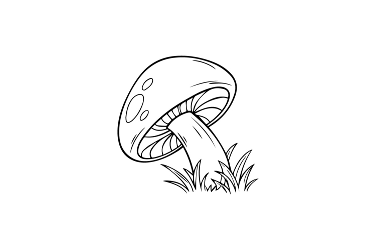 Mushroom Outline Image 2