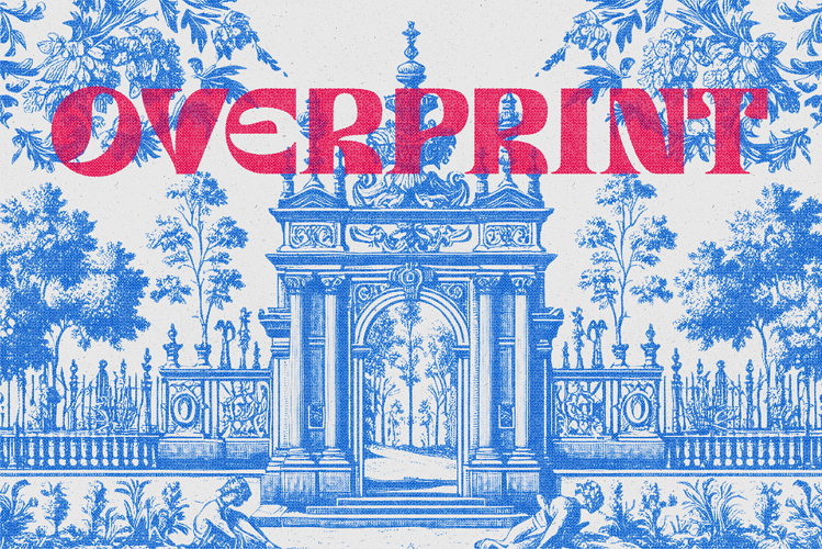 Overprint Photo Effect example image 1