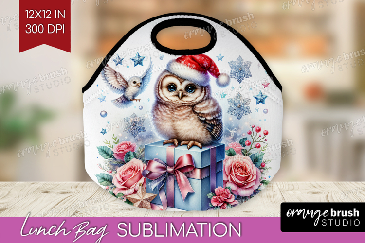 Owl Pastel Christmas Lunch Bag Coquette Xmas Lunch Bug PNG