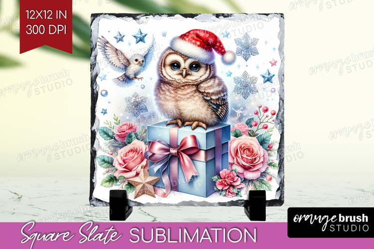 Owl Clipart Image 14