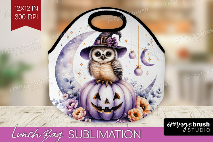 Owl Clipart Image 17