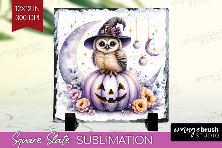 Owl Clipart Image 22