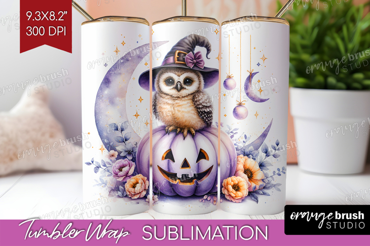 Owl Clipart Image 12