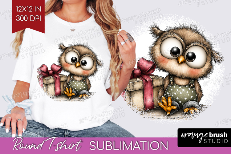Owl Valentine Round Tshirt Background Whimsical Animal PNG