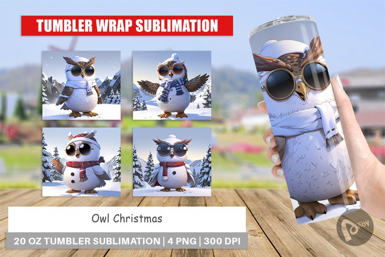 Owl Clipart Image 18