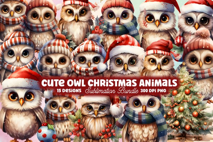 Owl Clipart Image 21