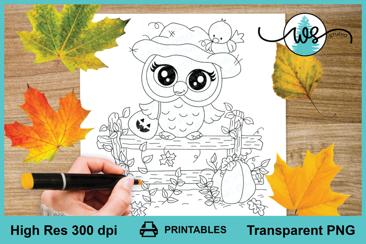 Autumn Owl on Fence Digi Stamp Printable Copic Coloring Page