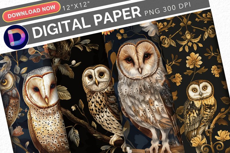 Owl Clipart Image 14